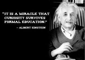 It is a miracle that curiosity survives formal education (Albert Einstein)